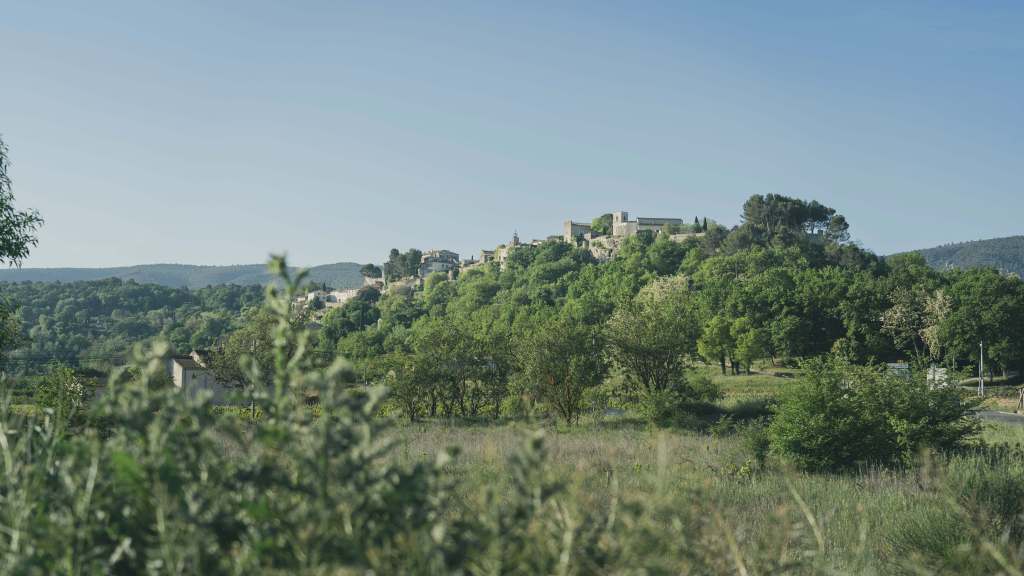 Dites Bonjour Studio 