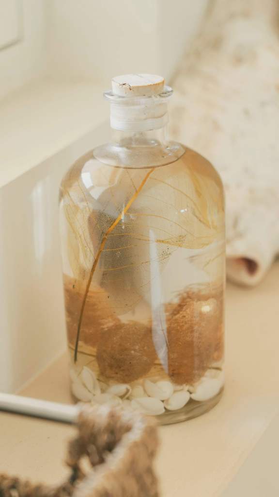 Dites Bonjour Studio 