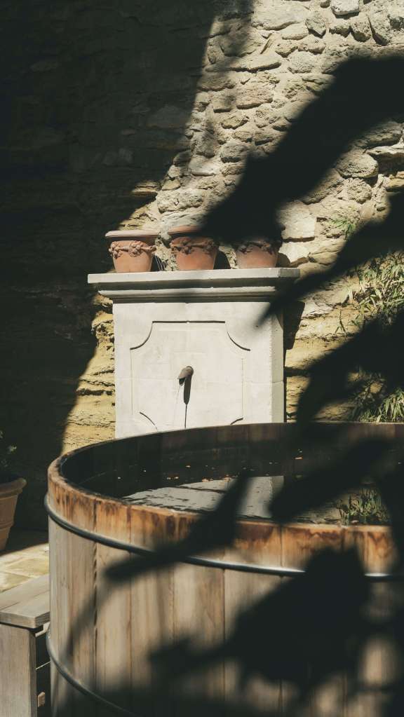 Dites Bonjour Studio 