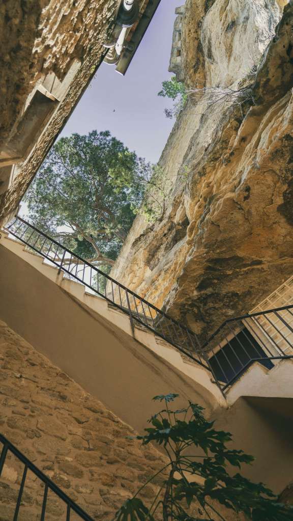 Dites Bonjour Studio 